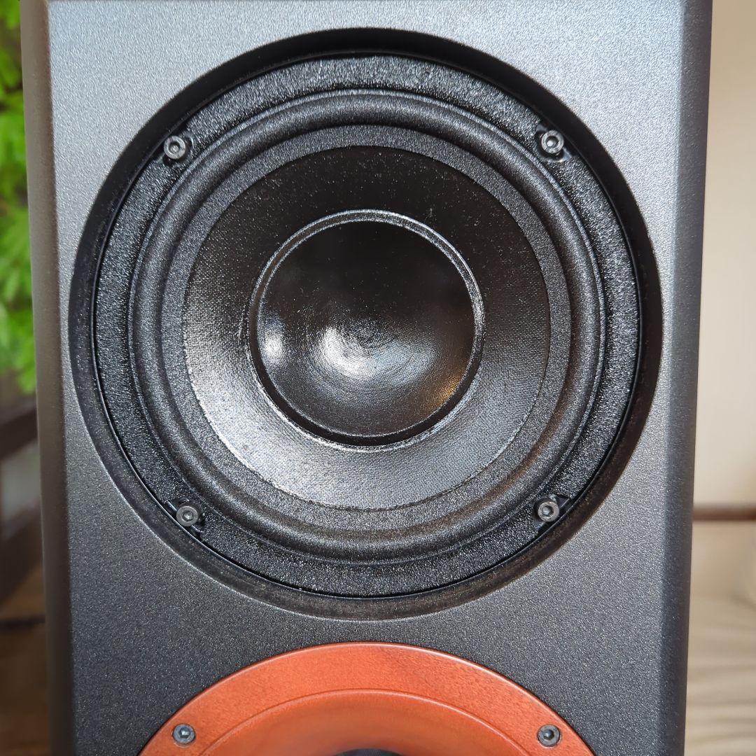 ジンガリ　Zingali O.C.M206 （右）