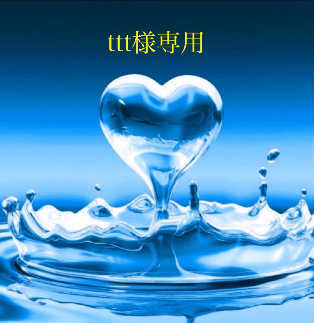 アクセサリー ttt Amazon.co.jp: フェンダーライナー マッドガードリテーナークリップ