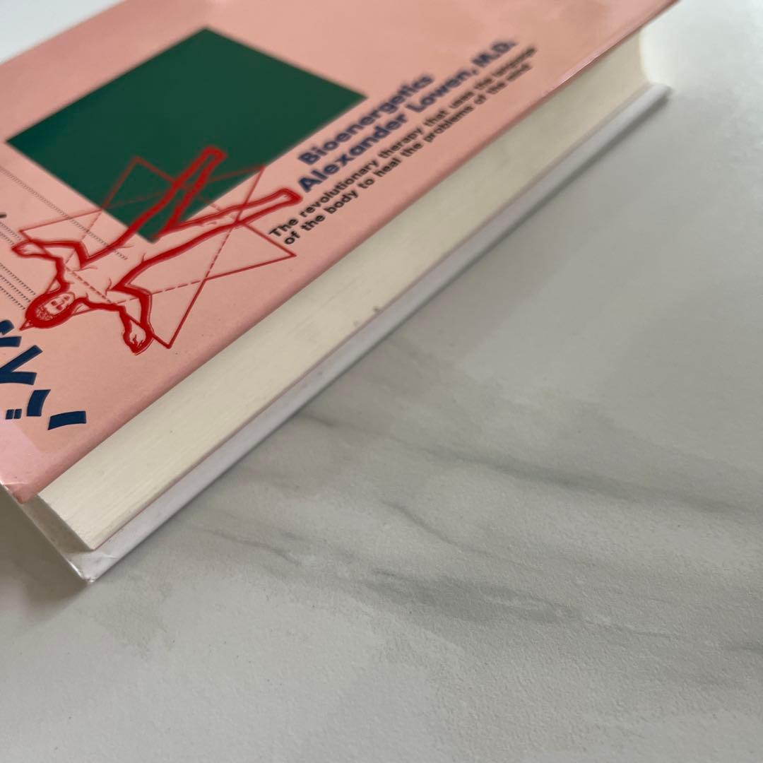 バイオエナジェティックス　アレクサンダー・ローエン著　初版　春秋社