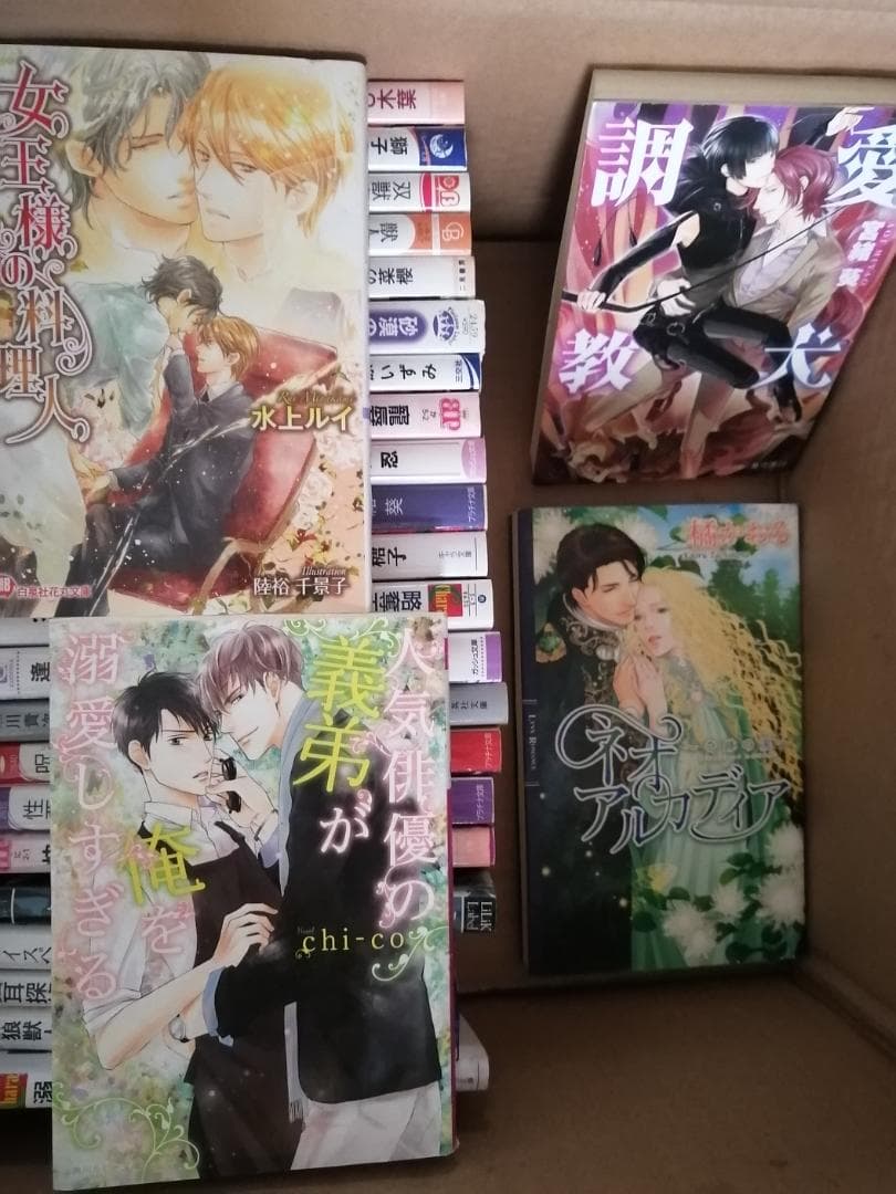 BL小説 161冊 まとめ売り