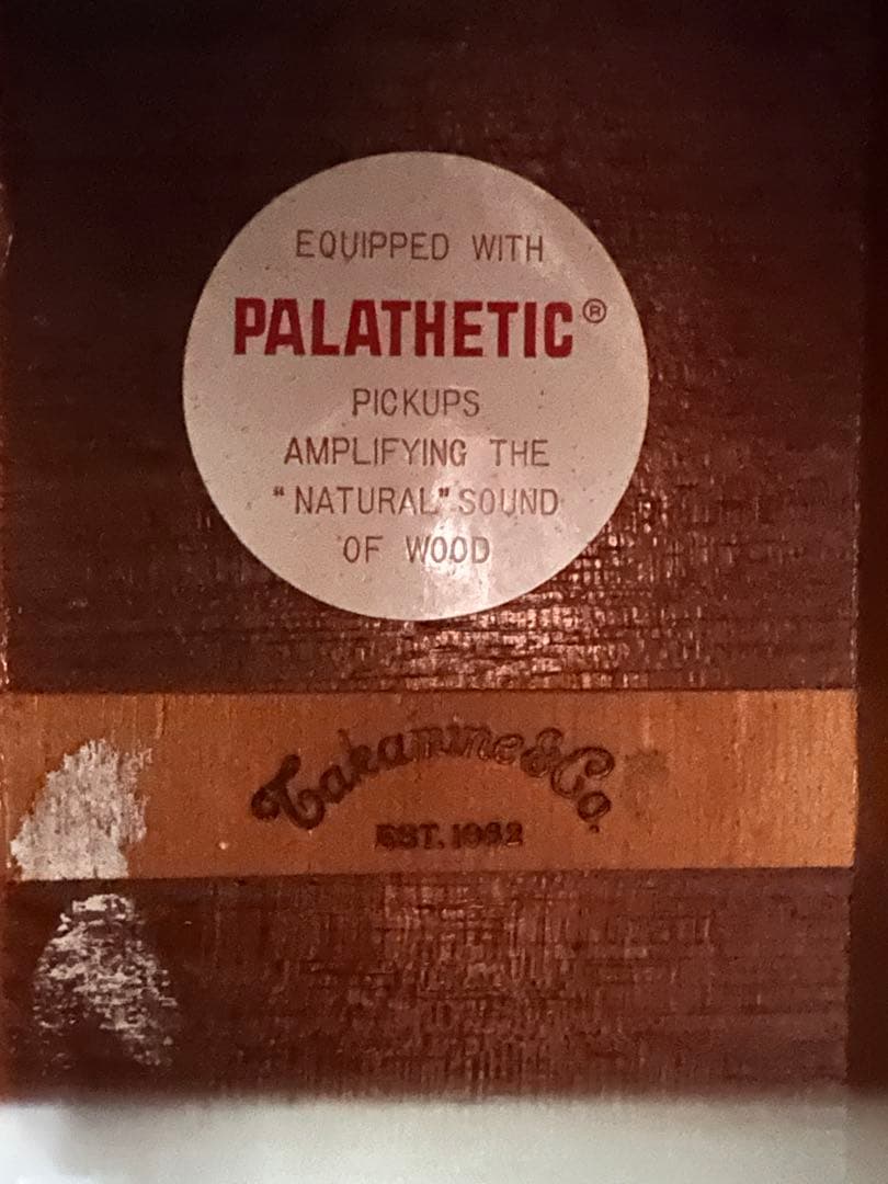 Takamine PT-05E タカミネ 大滝詠一使用モデル - メルカリ