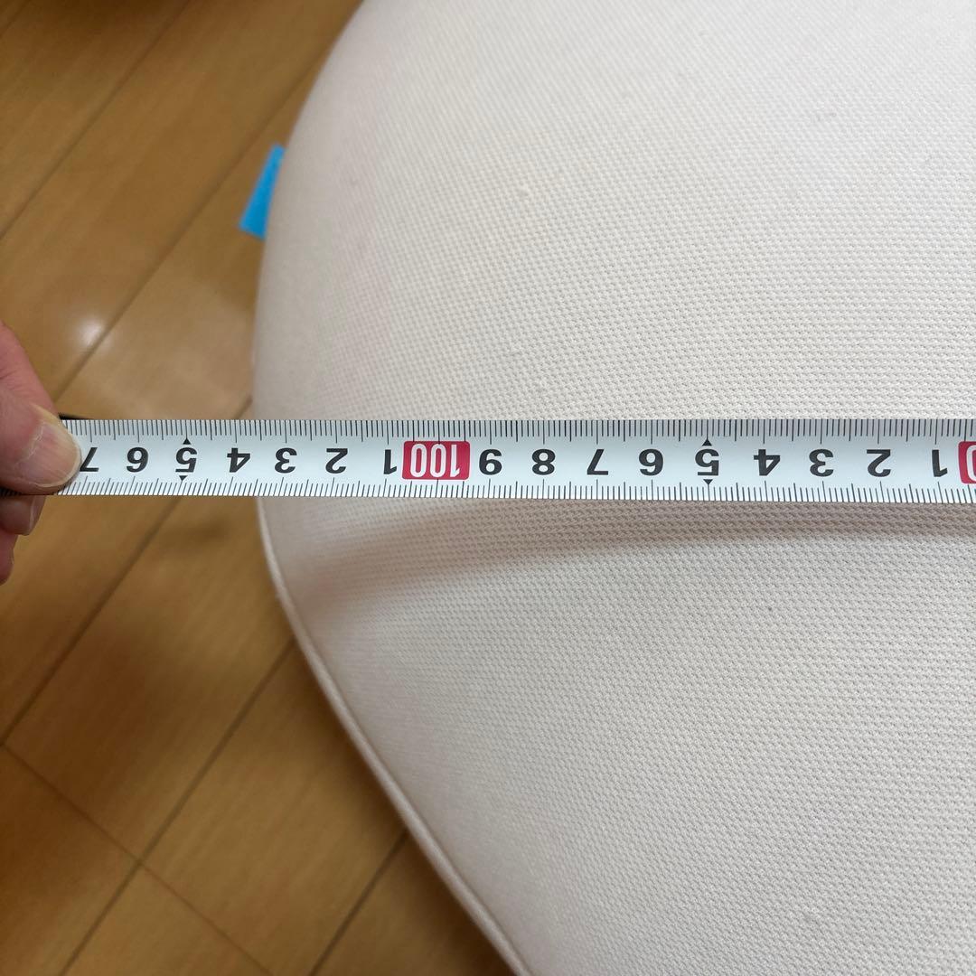 新品、未使用　ロフティー抱き枕　抱き枕カバーを付けて。