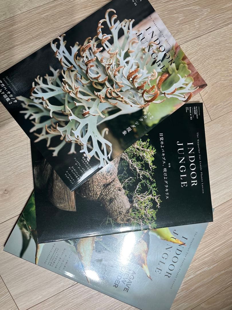 INDOOR JUNGLE 3冊セット INDOOR JUNGLE Issue.08 ｜ エムピージェー