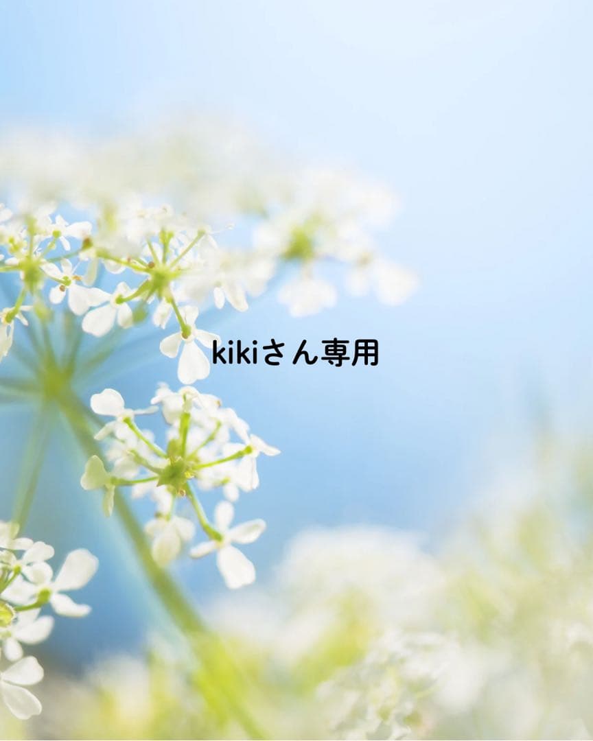 kikiさん専用 Wu Yu Studio - Kiki's Delivery Service The most comfortable flight