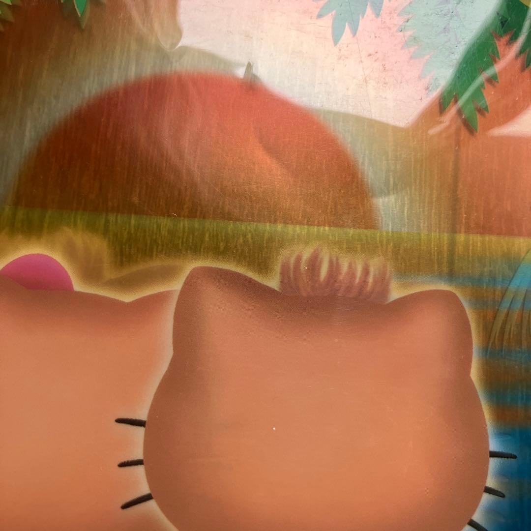 d*2様 ハローキティ サンセットクリアファイル 日焼けキティ サンリオ