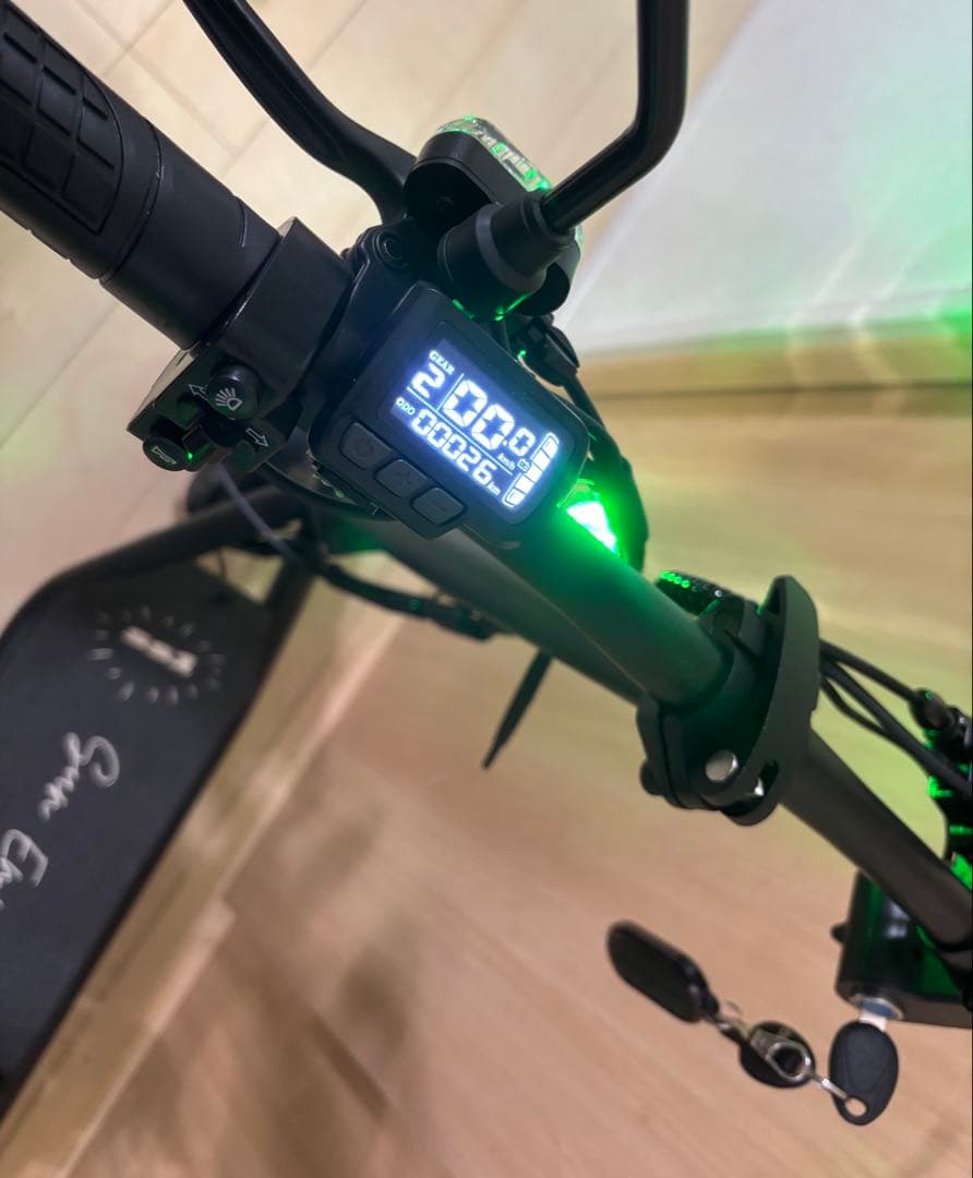 たぬき　12/15迄　関西　Sun Emperor サンエンペラー SS1