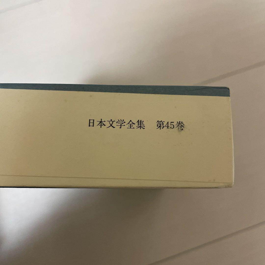 レア 日本文学全集 新潮社 25〜45巻 28巻なし 古書 古本 現代 近代