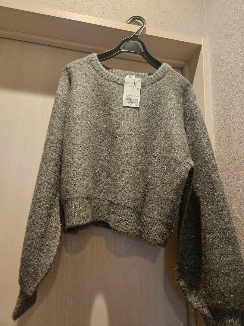 スピックアンドスパン スパンコールショート丈ニット グレー