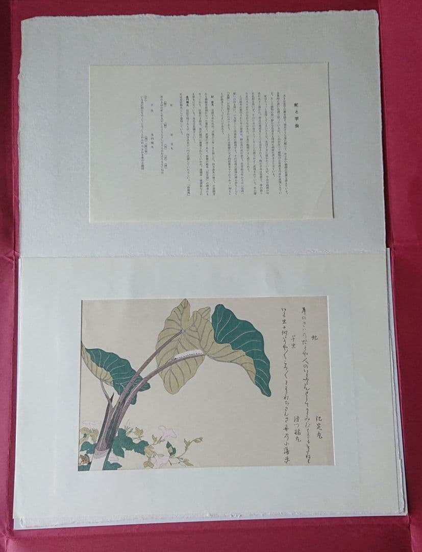 喜多川歌麿筆 逸品 虫えらみ 全15図 古法純手摺木版画 - メルカリ