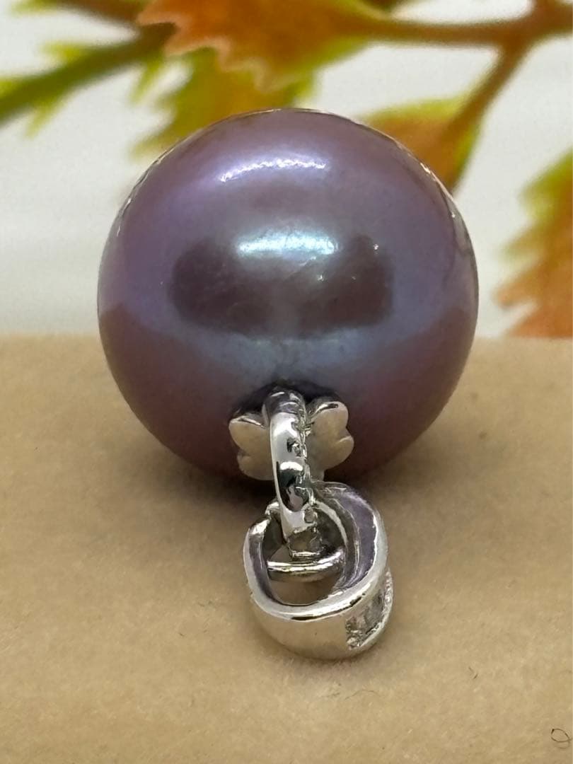 ♥♥まいまい♥♥ 　（d379）