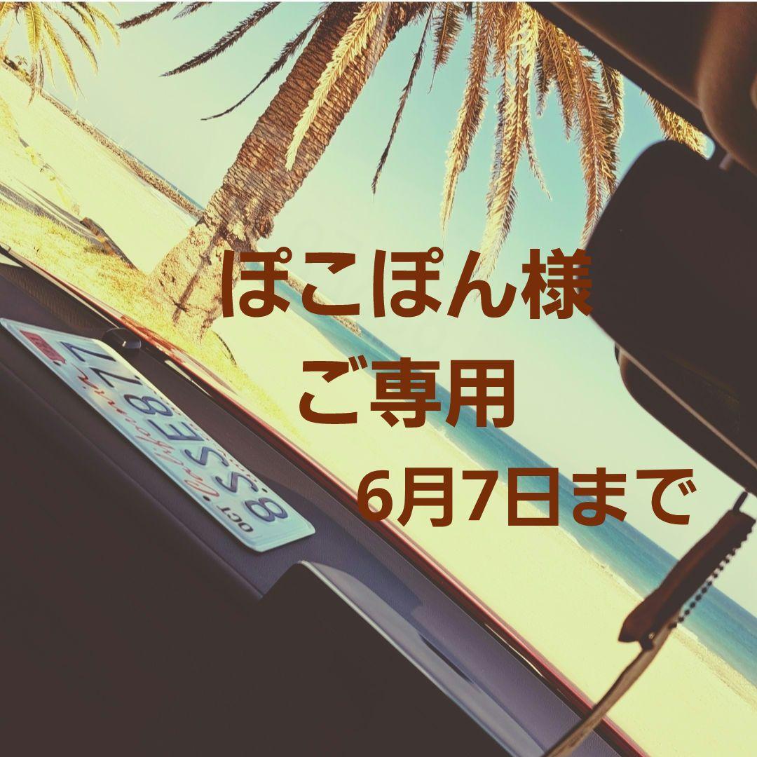 ぽこぽん様 Amazon.co.jp: ゼンレスゾーンゼロ ボンプ フィギュア 人形 装飾品