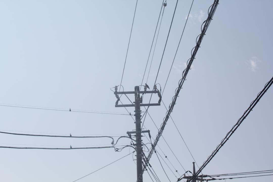 シグマ 50-500mm F4.5-6.3 APO DG OS キャノン用