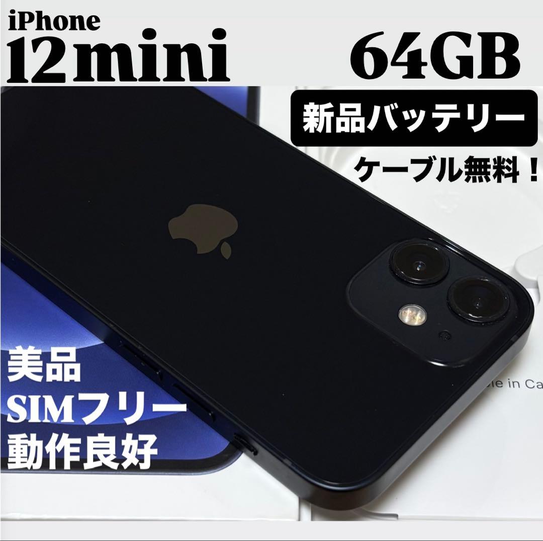 美品】iPhone 12 mini 64GB ブラック SIMフリー 動作良好 - メルカリ