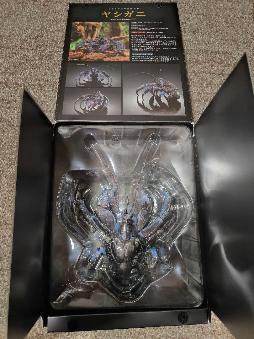いきもの大図鑑　ヤシガニ いきもの大図鑑プレミアム ヤシガニ | フィギュア | アニメグッズ