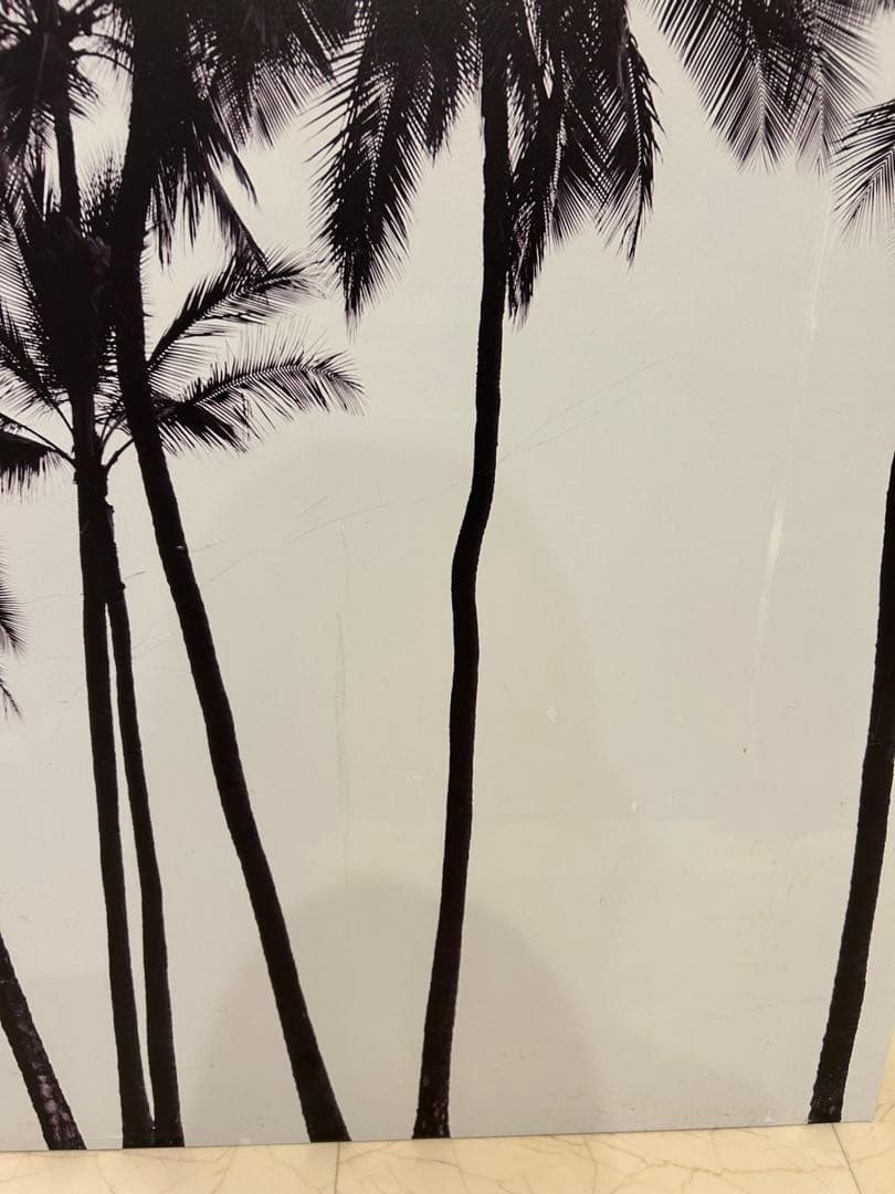 BoConcept ヤシの木 インテリアパネル ハワイアン 絵 壁掛け