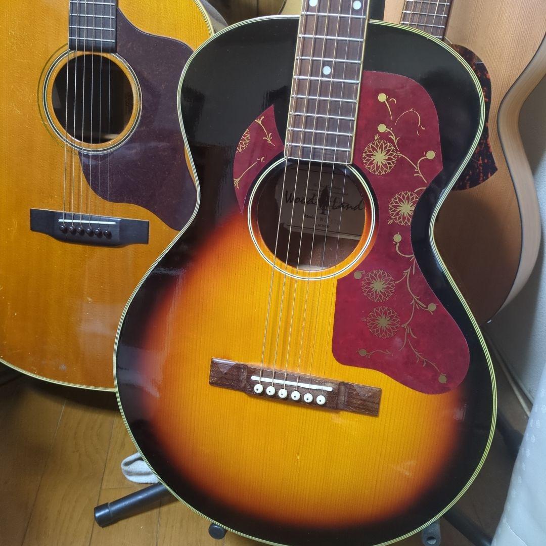 Wood Land エレアコ、 パーラーギター.WL-5 mt0113687_m.jpg