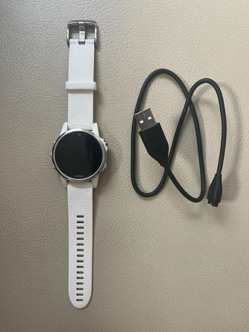 ガーミン フェニックス5S garmin Garmin Fenix 5s Orologio Sportivo, Argento/Nero : Amazon.it