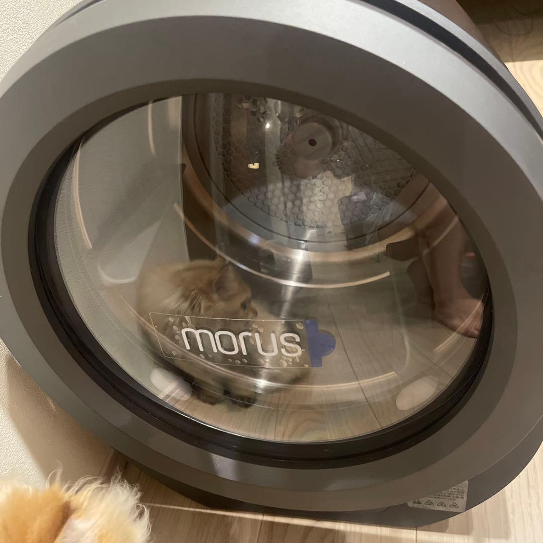 morus 電気式衣類乾燥機 Morus-Zero – 株式会社モルス