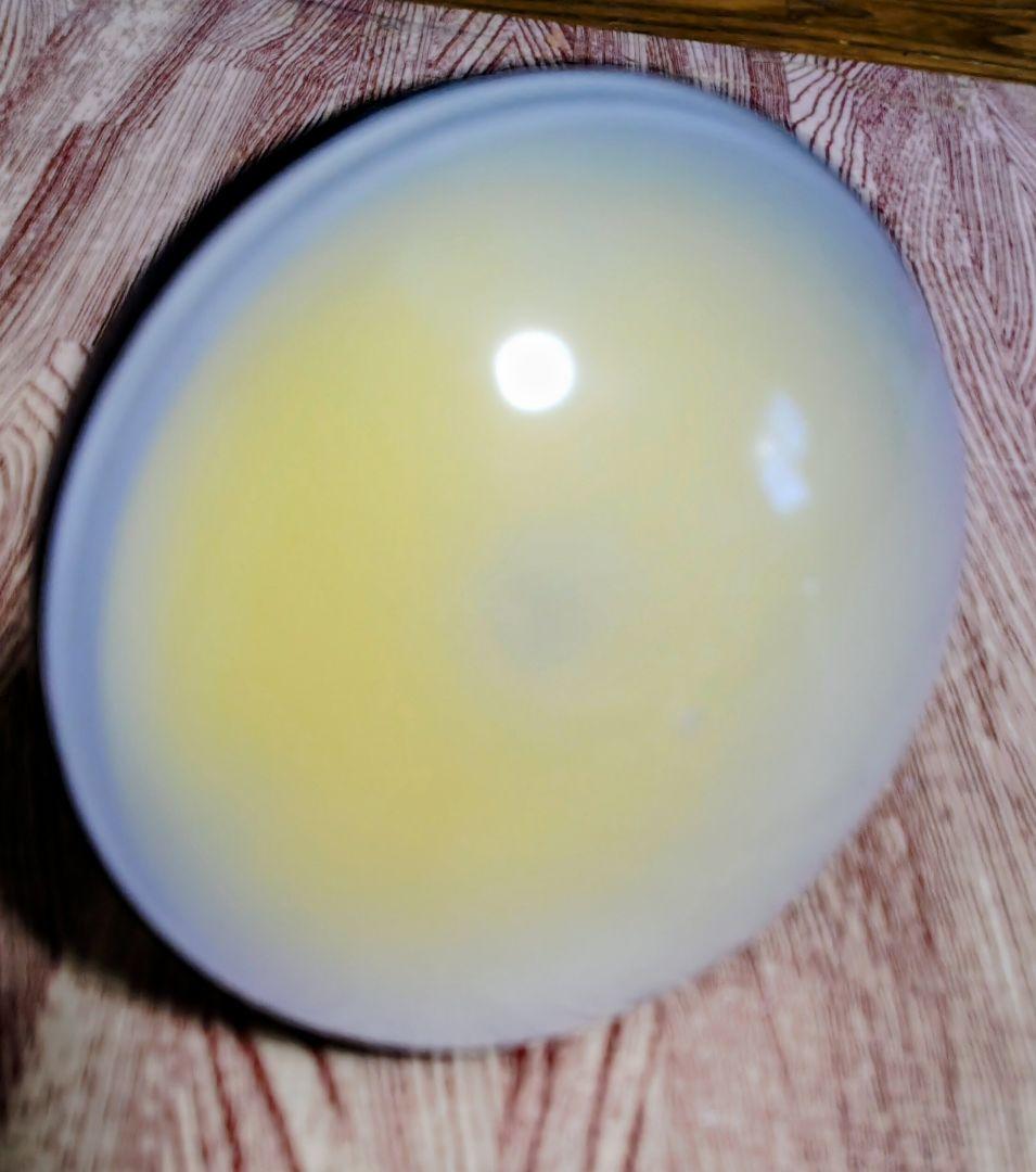 美品】集魚灯12v LED 防水20w E26 口金 ノイズ対策 直流 24v - メルカリ