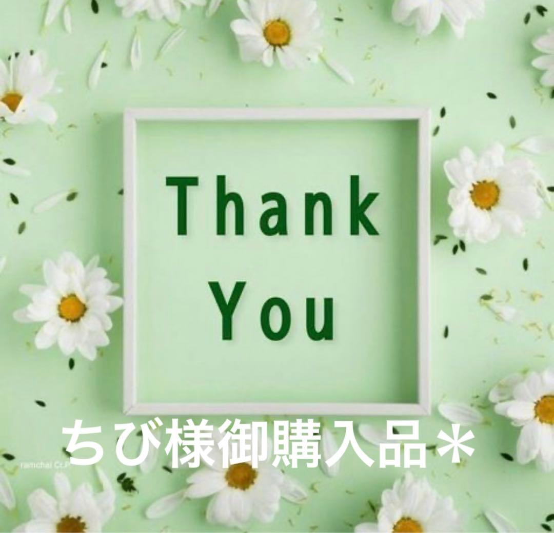 ちび様御購入品＊ セール】アソートリブインナー 134457（Tシャツ/カットソー）｜LEPSIM