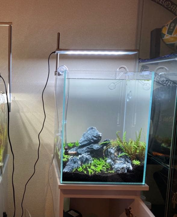 DOOA ソルスタンド RGB - メルカリ