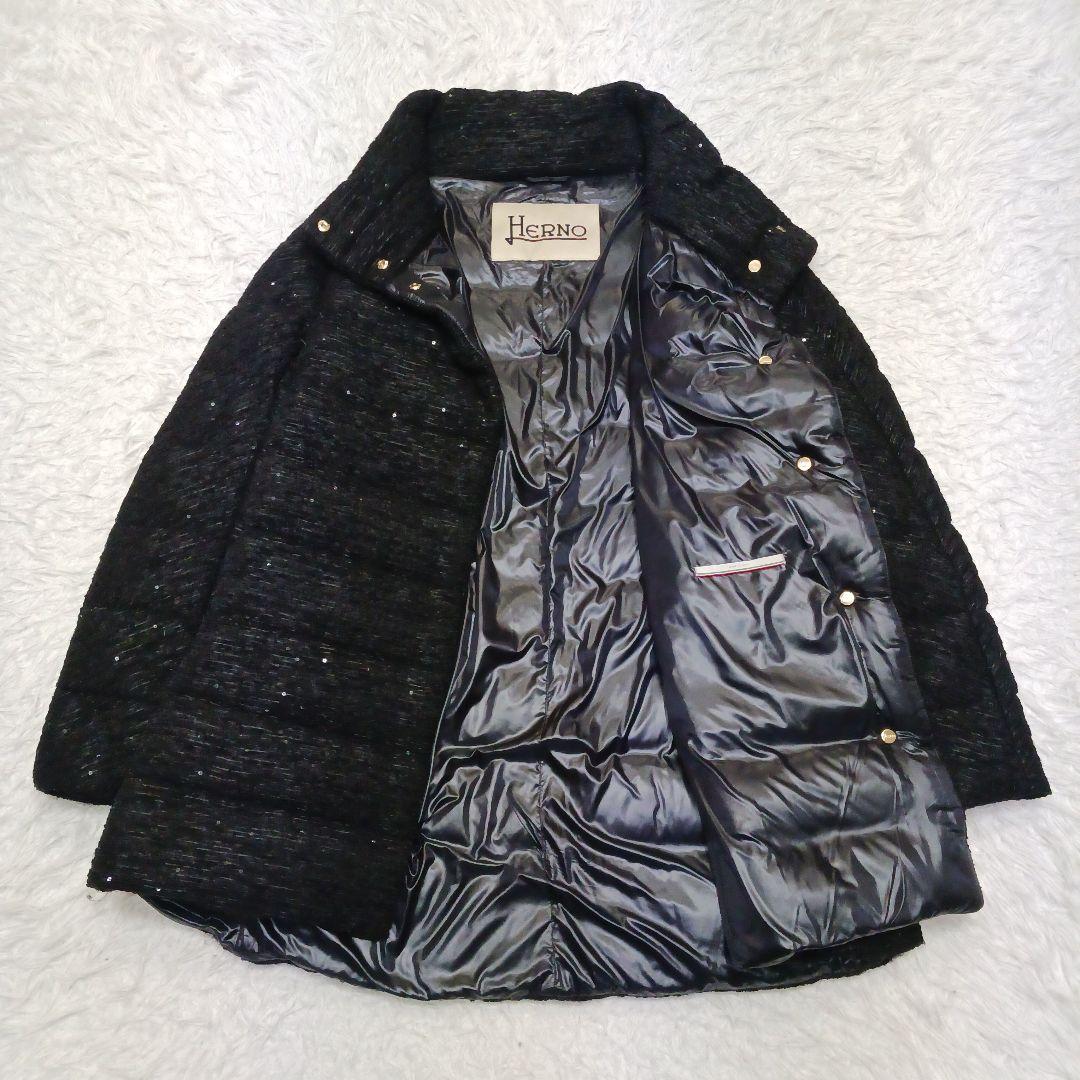 ✨美品✨HERNO　スパンコール　ハイネック　ジャガードダウンジャケット 46 HERNO（ヘルノ） ダウンジャケット PI001944D 12017Z レディース