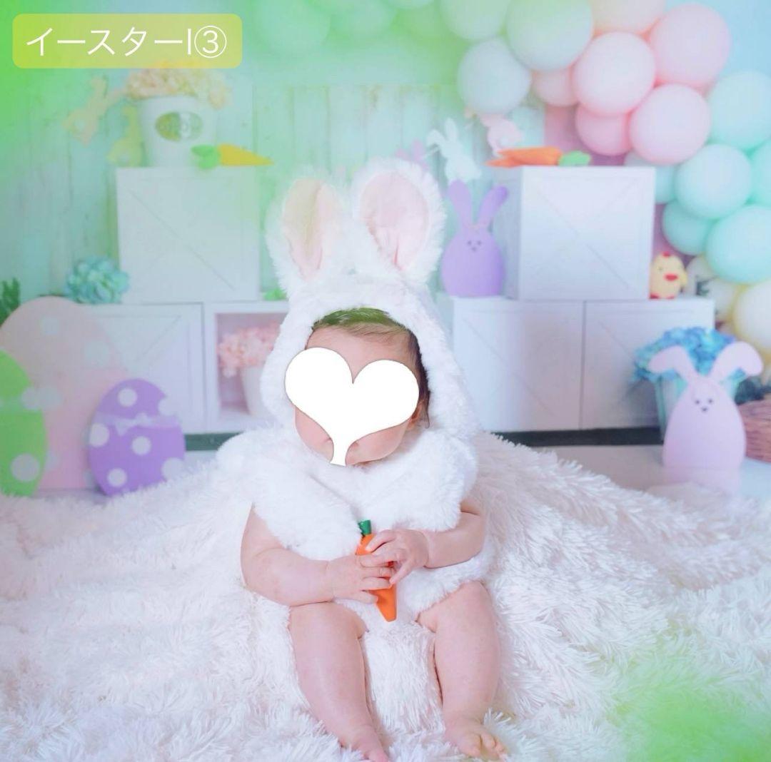 背景布×5+1 ペット撮影用フォトブース トリミングチョーカー販売中