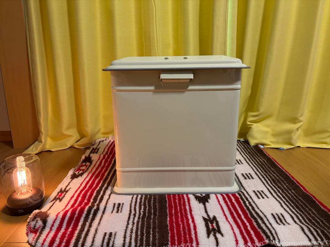 訳あり】ダルトン DULTON STEP CAN DUAL BUCKET