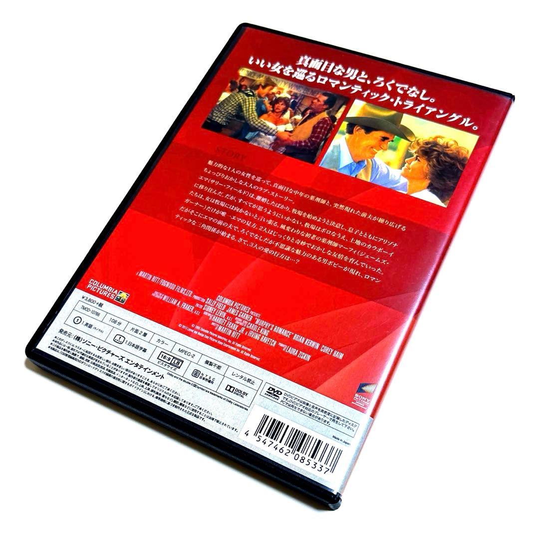 廃盤】マーフィのロマンス('85米) DVD