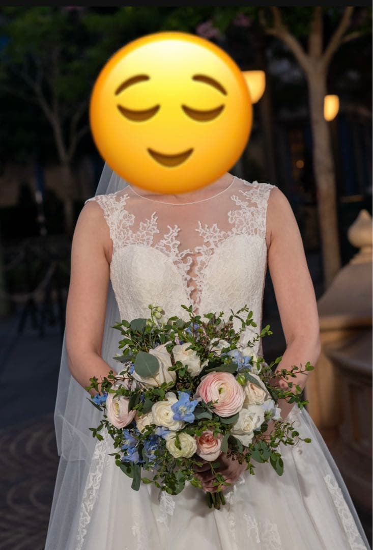 プロノビアス Pronovias ウェディングドレス Aライン vulcania - メルカリ