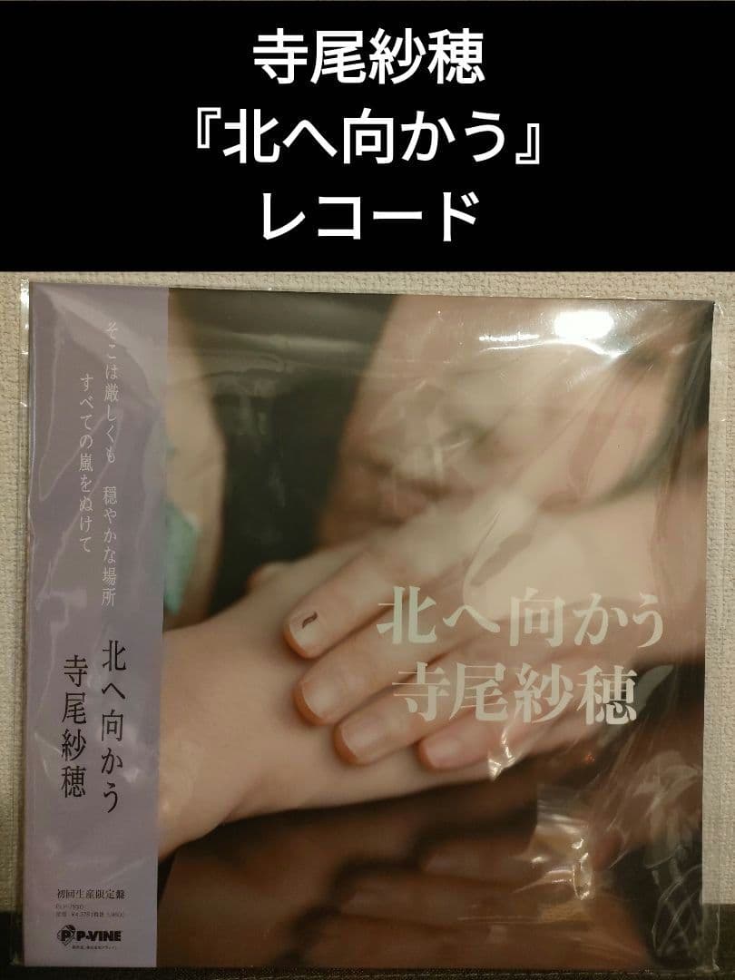 激レア!新品!寺尾紗穂『北へ向かう』レコード 北へ向かう (7インチシングルレコード) : 寺尾紗穂 | HMV&BOOKS online