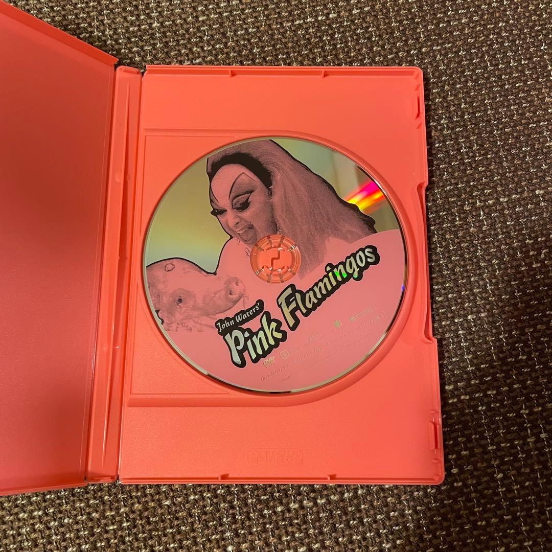映画「ピンク・フラミンゴ」ノーカット特別版DVD 特典付 - メルカリ