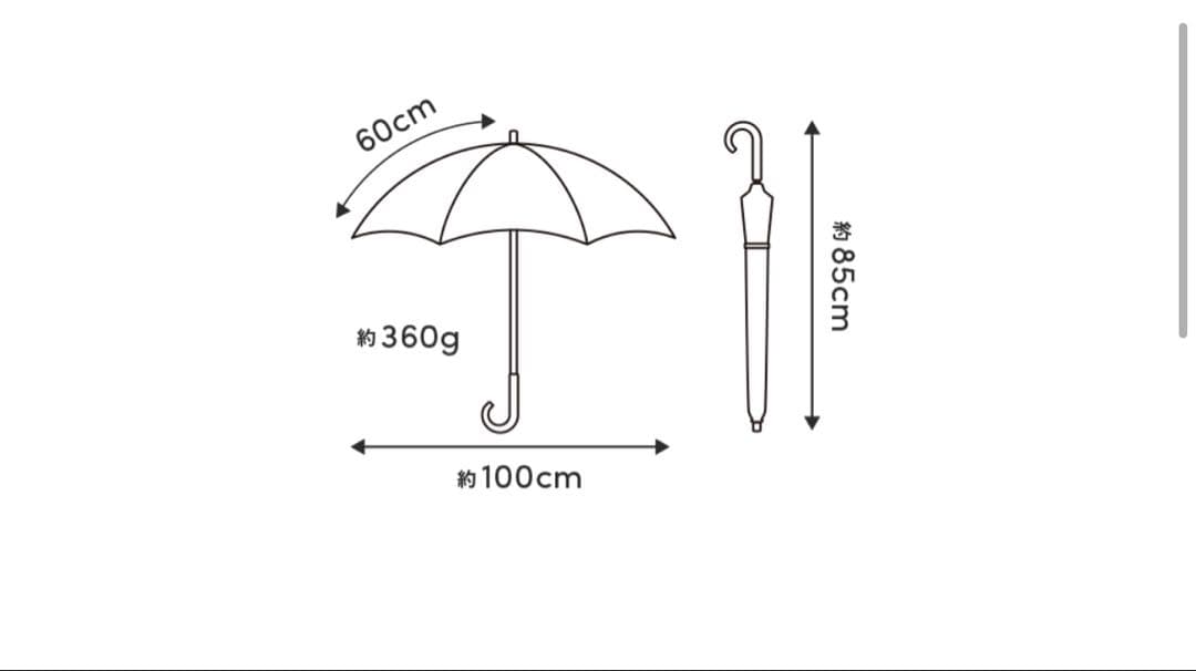 サンバリア100 日傘 完全遮遮光 Lサイズ フロスト 長傘 神崎恵 - メルカリ