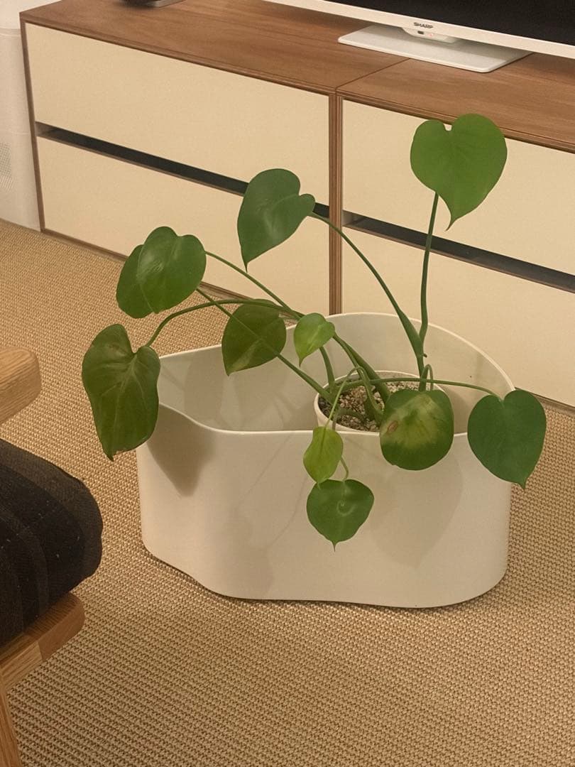 【レア】リーヒティエ プラント ポット ホワイト／Aタイプ（大）　アアルト リーヒティエ プラント ポット ホワイト／Aタイプ（大） – Artek Tokyo