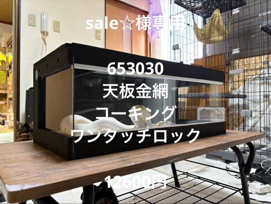 sale☆　653030ブラック New 2025 Kawasaki Ninja ZX-4R ABS Metallic Spark Black