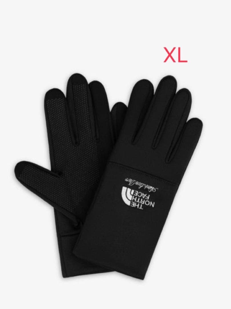 THE NORTH FACE × Aimé Leon Dore 手袋 【XL】 - メルカリ