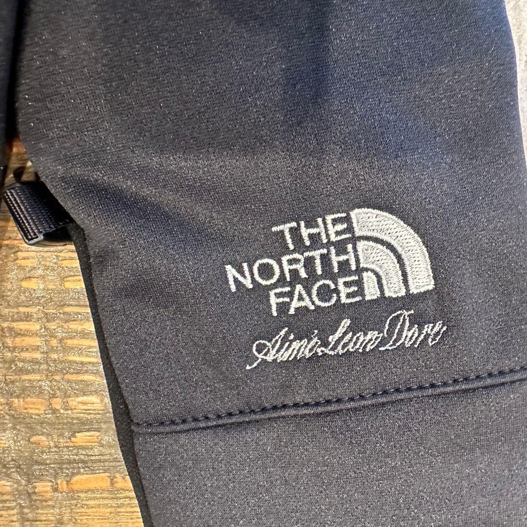 THE NORTH FACE × Aimé Leon Dore 手袋 【XL】 - メルカリ