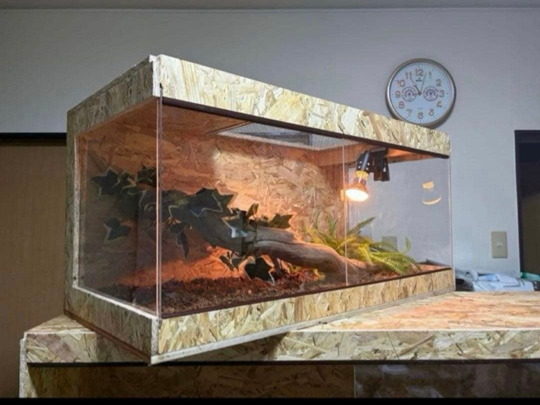 爬虫類ケージ 80×40×40 サイドアクリル 飼育ケージ ケージ 爬虫類 www