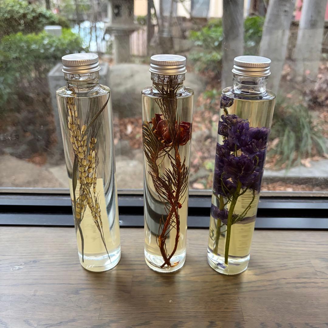 LUFF ハーバリウム 3本セット ドライフラワー 植物標本 - メルカリ