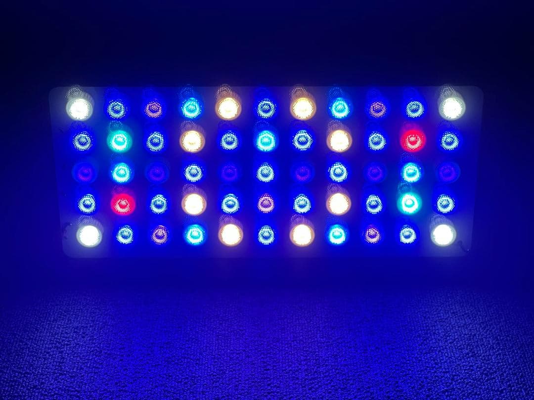 珊瑚水槽LEDライト ブラックボックス PSE技術基準適合 プリズムレンズ Amazon.co.jp: 【PSE技術基準適合】サンゴの育成と演色に特化した165W