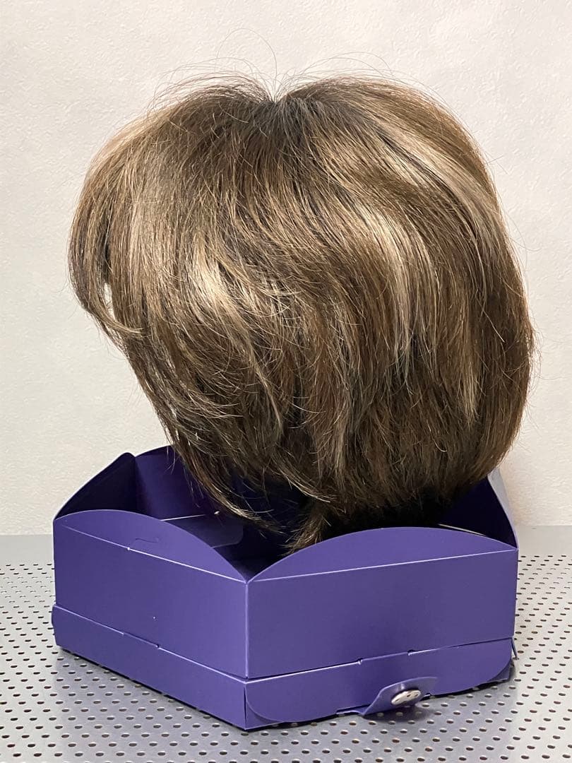 えいこねー様専用 フォンテーヌ スワニー フルウィッグ SGW10 R465