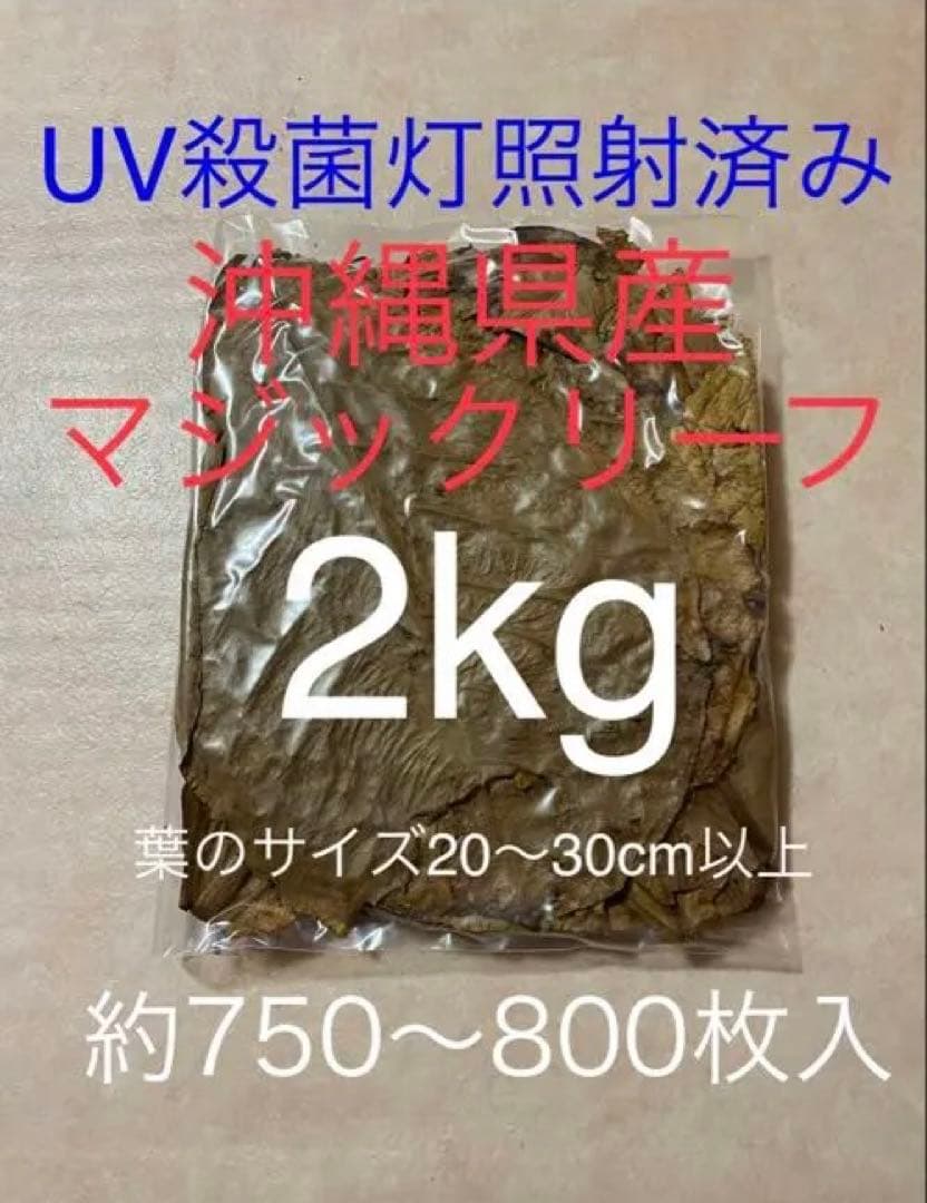 沖縄県やんばる産マジックリーフ 2kg UV殺菌灯照射済み① - メルカリ