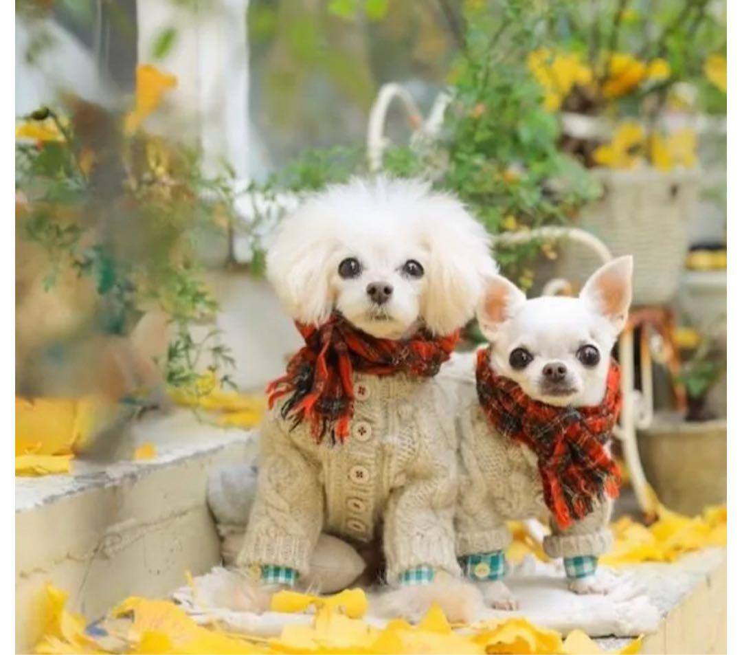 bluebleubleue アランニットカーディガン アランニットカーデ - 「ブルーブルーブルー blue bleu bleue」東京