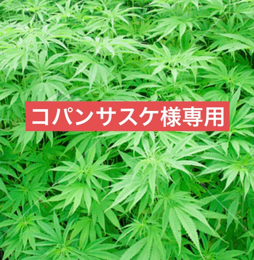 コパンサスケ MARCO MASI】別注 サイドポケット2WAYバッグ｜collex / コレックス