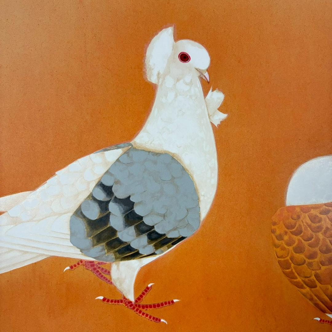 美品 上村松篁「双鳩」リトグラフ 直筆サイン・印章入 花鳥画 上村松園