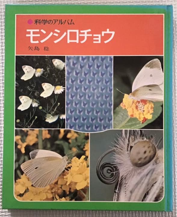 あかね書房 科学のアルバム 「虫」編（全巻）22冊 - メルカリ