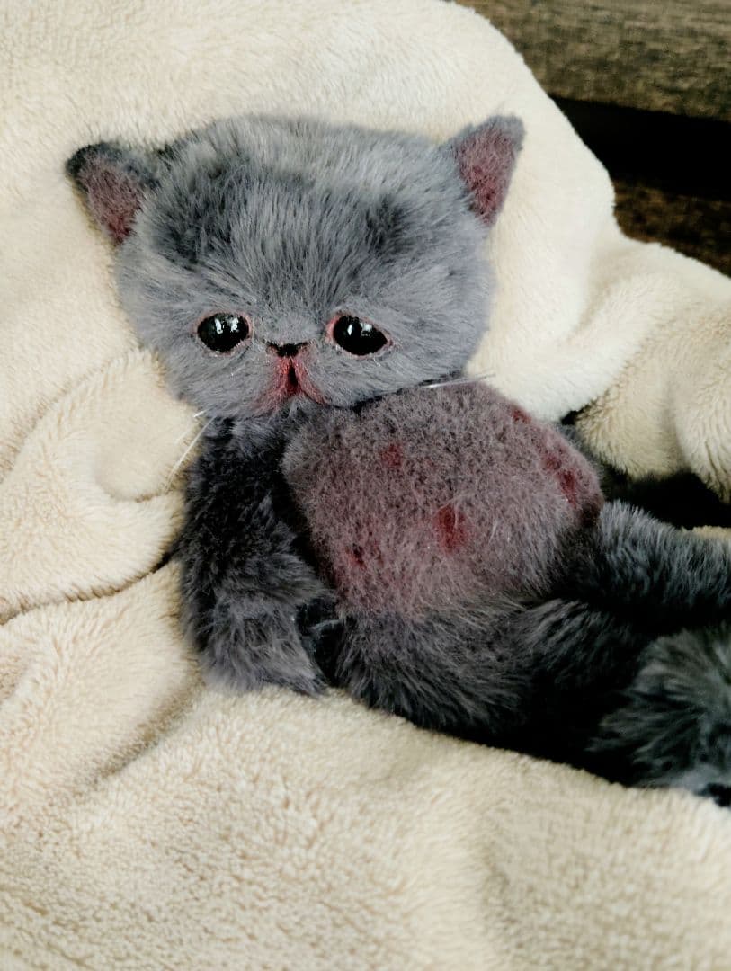 もち様オーダー❤子猫の黒豆ちゃん♡アートドール♡ぬいぐるみ