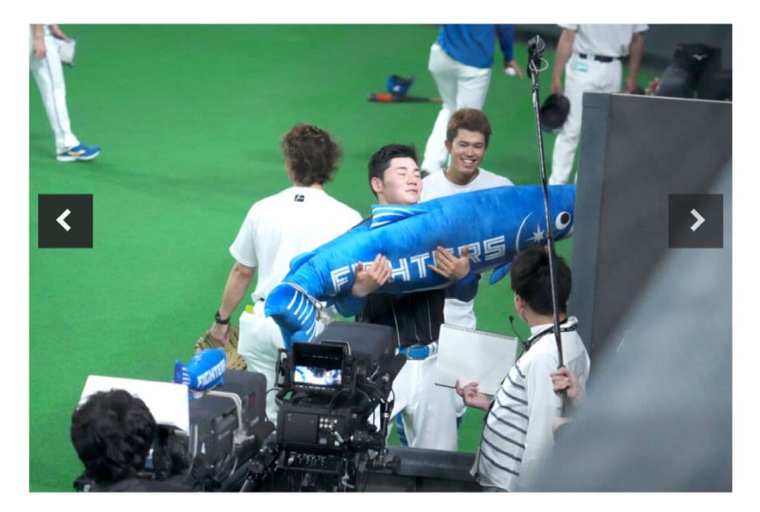 非売品☆しゃけまるぬいぐるみ160cm北海道ぎょれんコラボver. 配布ユニ