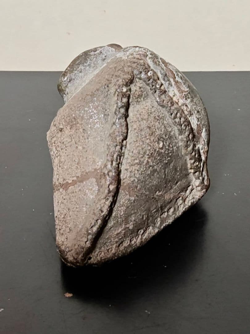 革袋型須恵器残欠 考古発掘品 稀少 古美術 花呼ぶ器