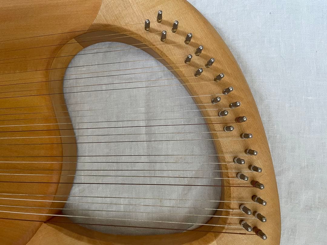 ザーレムライアー SALEM 27弦 - メルカリ